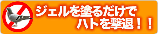 ジェルを塗るだけでハトを撃退！！