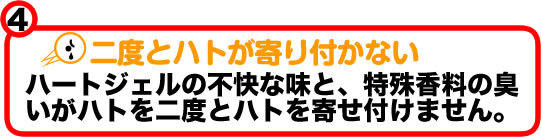 二度とハトが寄り付かない